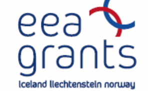 eea grants.png